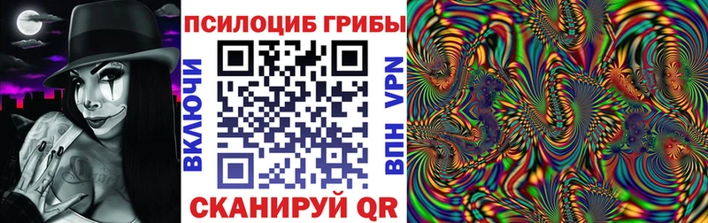 Псилоцибиновые грибы MAGIC MUSHROOMS  Черемхово 